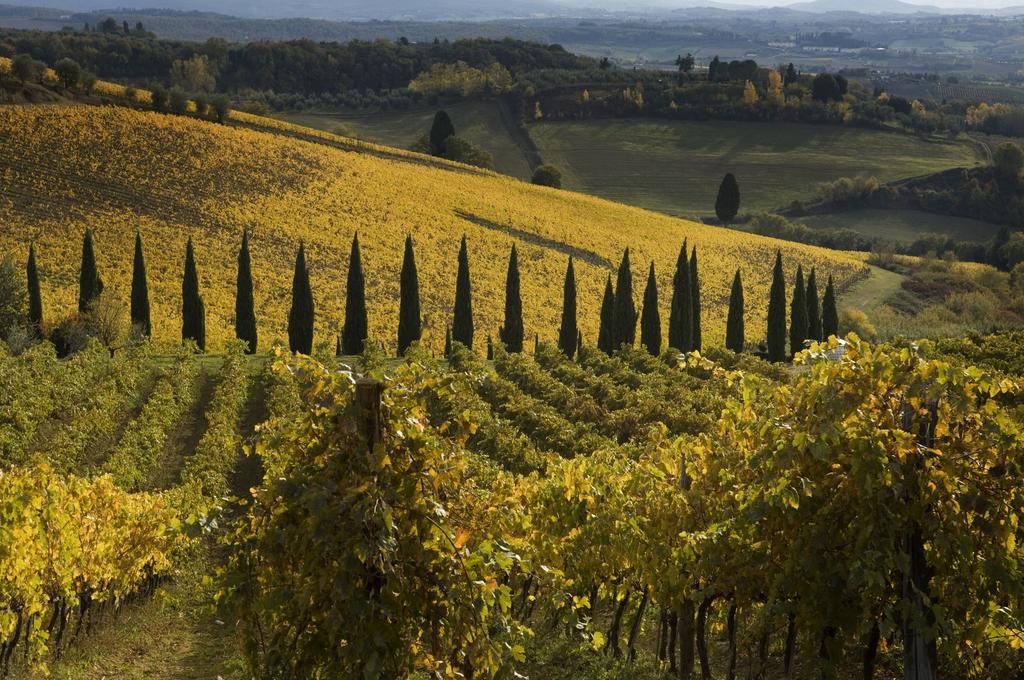 Agriturismo Campo Lungo San Donato in Poggio Δωμάτιο φωτογραφία